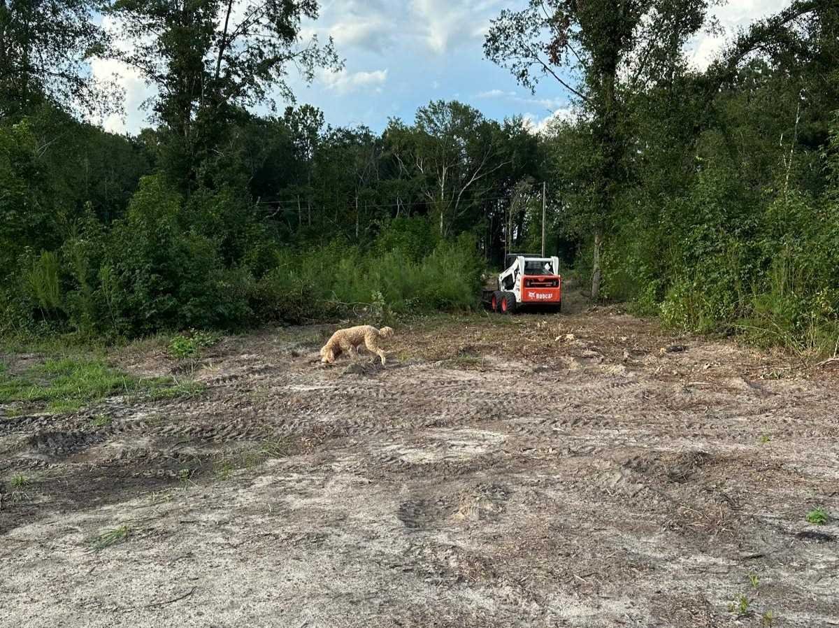 El Costeño Tree Service LLC